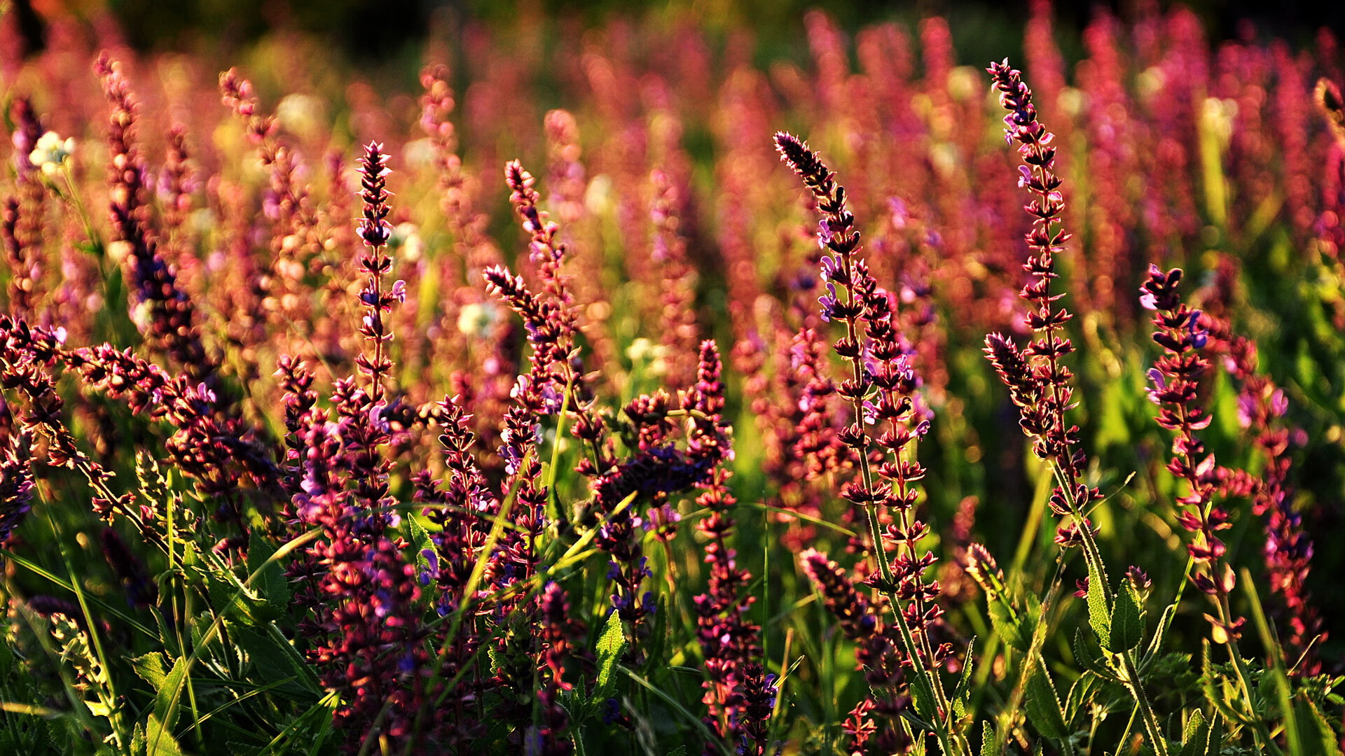 九游（jiuyou.com）游戏-“青春绽放”青少年篮球主题文创大赛在上海圆满落幕，激发创意潜能