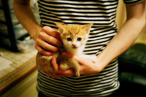 大型足球赛事线上直播粉丝数持续攀升,行业繁荣,足球直播知乎