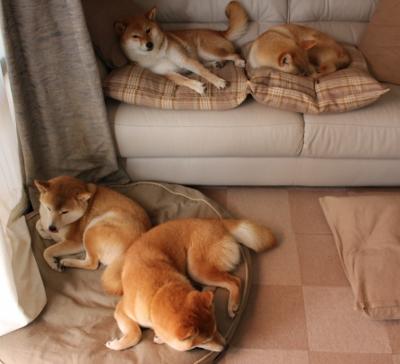 九游娱乐官网 (jiuyou)-德国反曲弓选手在2024年世界射箭锦标赛中表现出色，国际反曲弓比赛规则