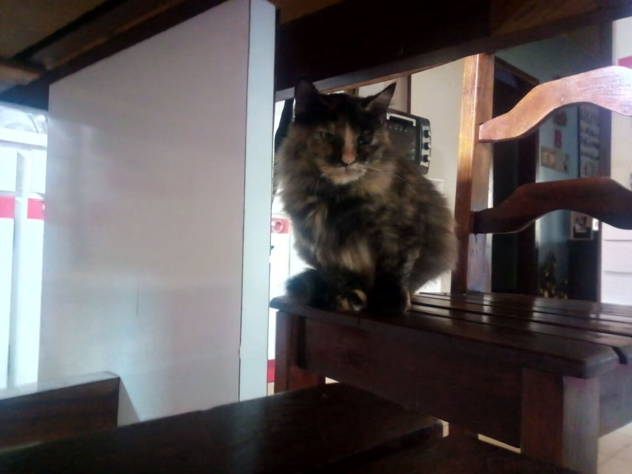 特色篮球文化节在各大高校持续火热,弘扬运动精神,全国篮球特色学校报道稿