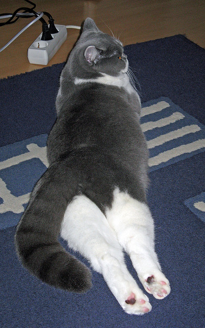 逆转精彩:王强三分压哨,完成绝地反击!