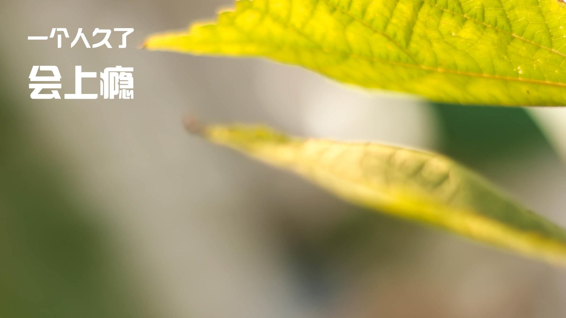 九游9游-逆天逆转！那些欧冠史上最经典的“最后一分钟奇迹”，欧冠最后一轮冷门