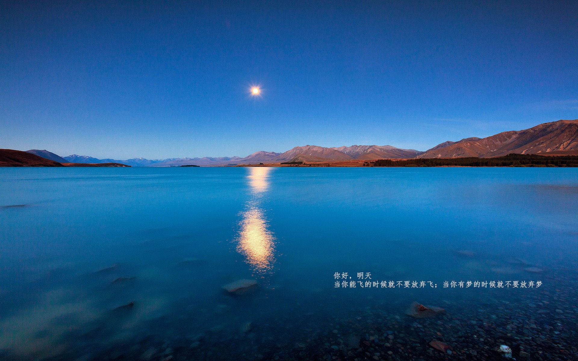 印度计划申办2036年奥运会，展现体育强国雄心。，印度想申办奥运会