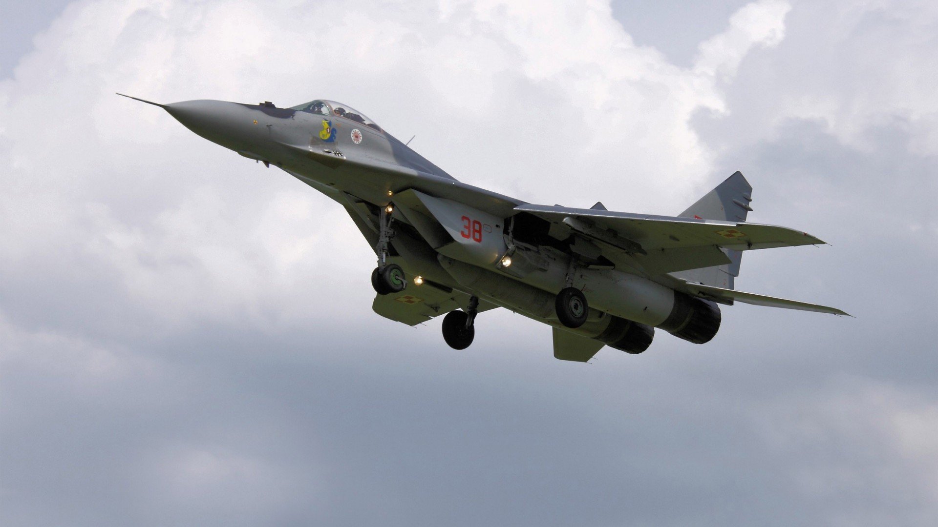 墨西哥马术协会设立马匹福利基金，支持马匹退休生活。，墨西哥教练马进