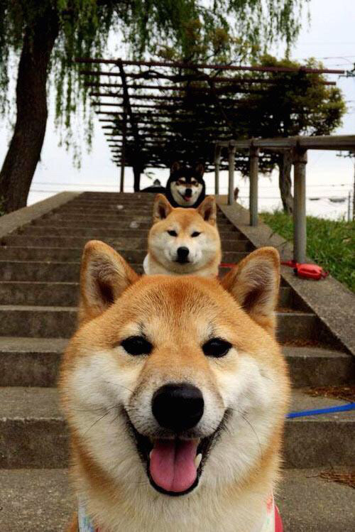 曝阿根廷队内团结气氛浓厚,阿根廷球队合照