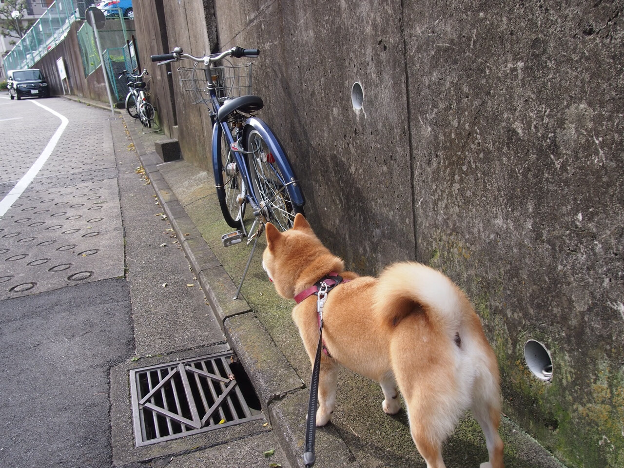 九游娱乐官网 (jiuyou)-格拉纳达球队大获胜利，乘胜追击，格拉纳达足球俱乐部最新消息