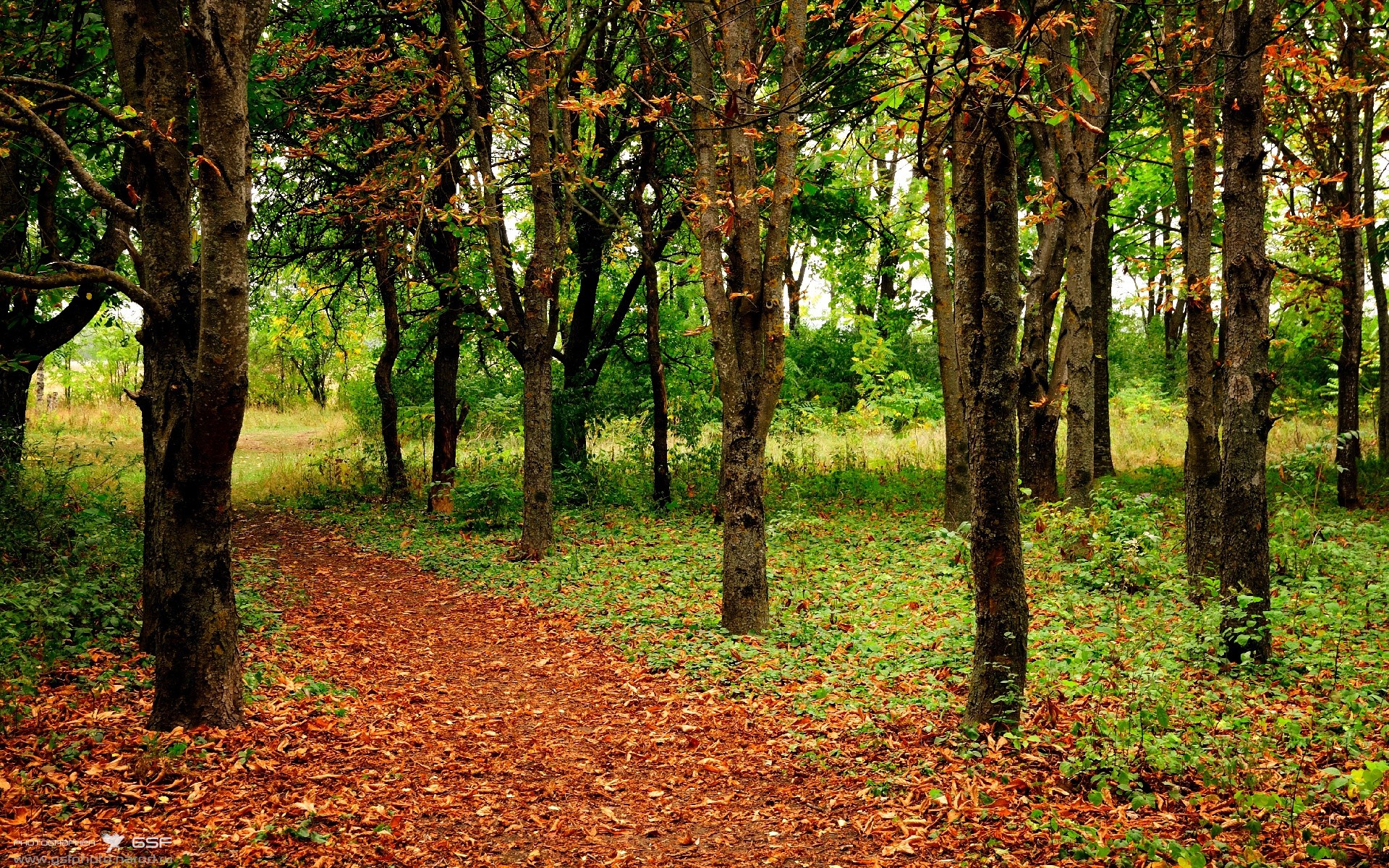 Jiuyou-本土球员留洋意愿是否正在回升，留洋球员名单