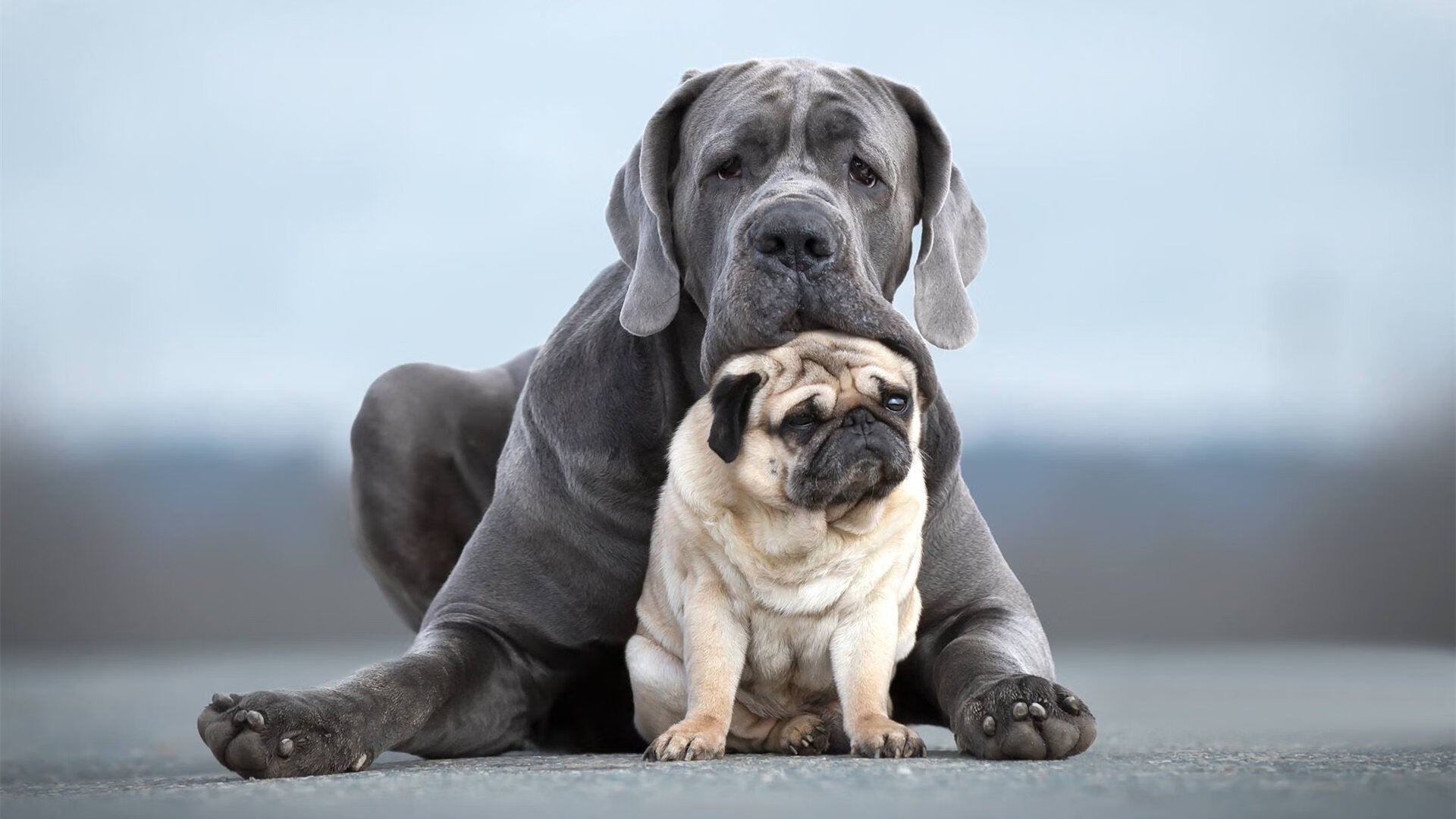 米兰冲击联赛前三，米兰冲击联赛前三排名