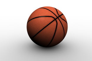 九游APP官网-中国篮球职业俱乐部青训人才培养路径探索，篮球青训队招聘条件