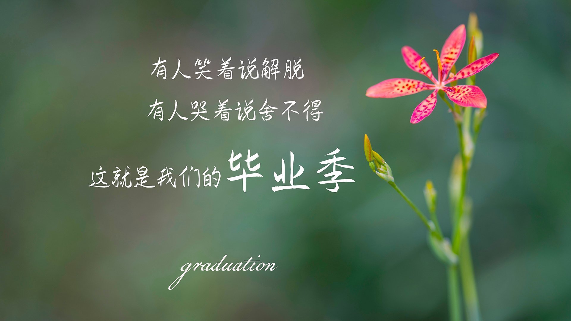 拜仁替补边锋登场即进球，拜仁 边锋