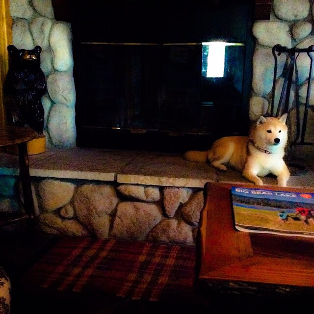 世界杯赢球瞬间:喜悦中的泪水与欢呼,世界杯赢家