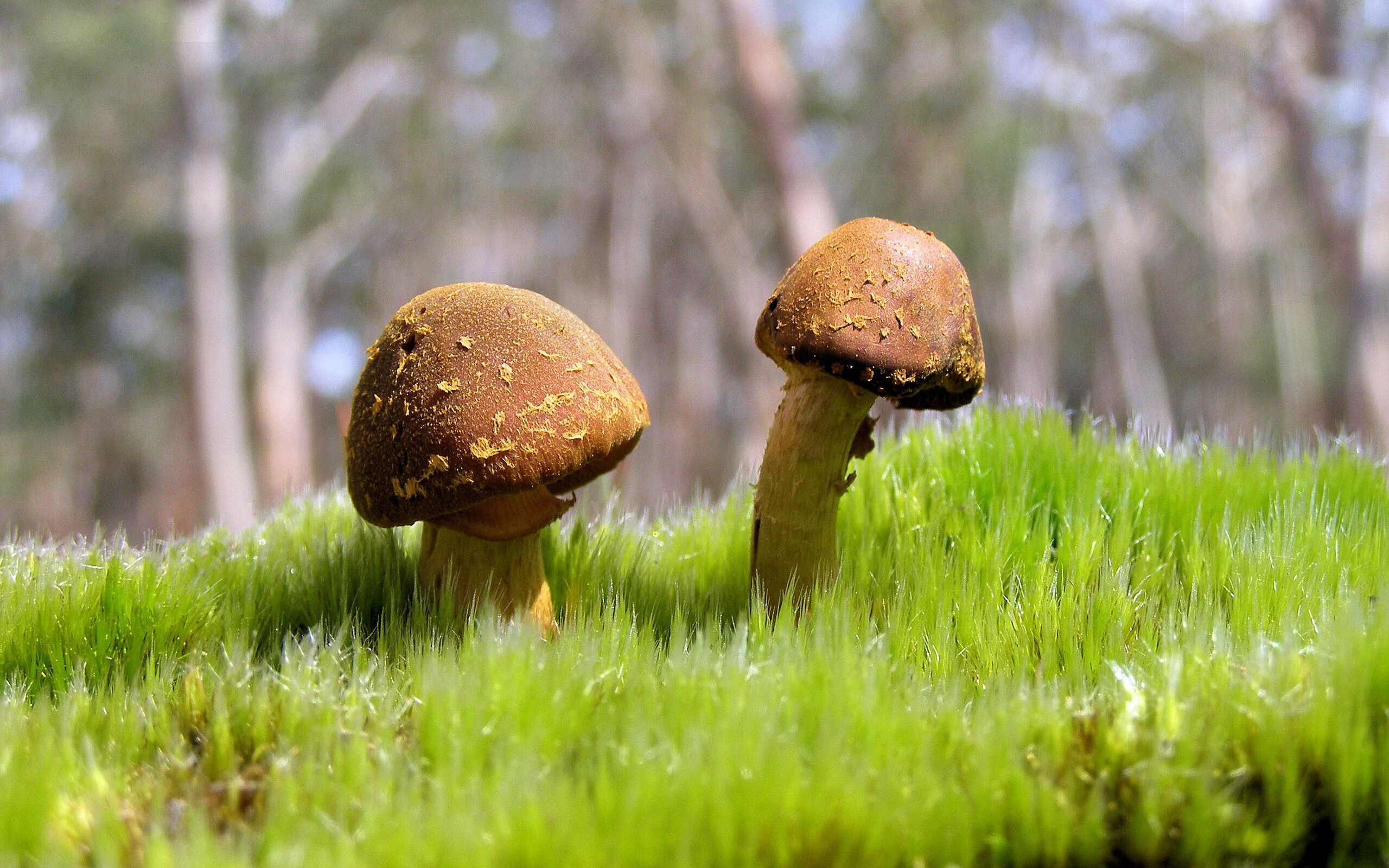 校园足球暑期集训营开营各地选拔机制更加透明,暑假足球训练营招生简章