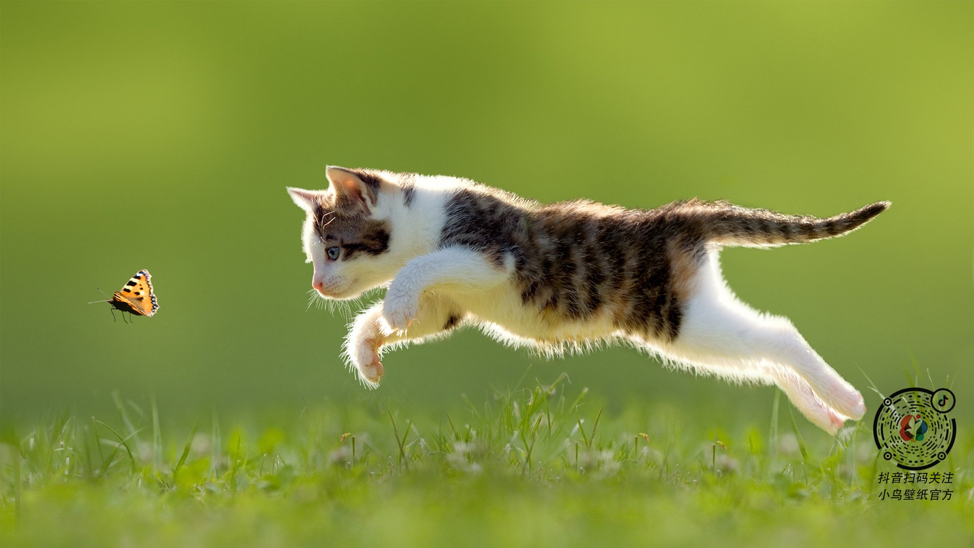 法甲豪门对决：战术与天赋的高水平较量，法甲豪门球队排名